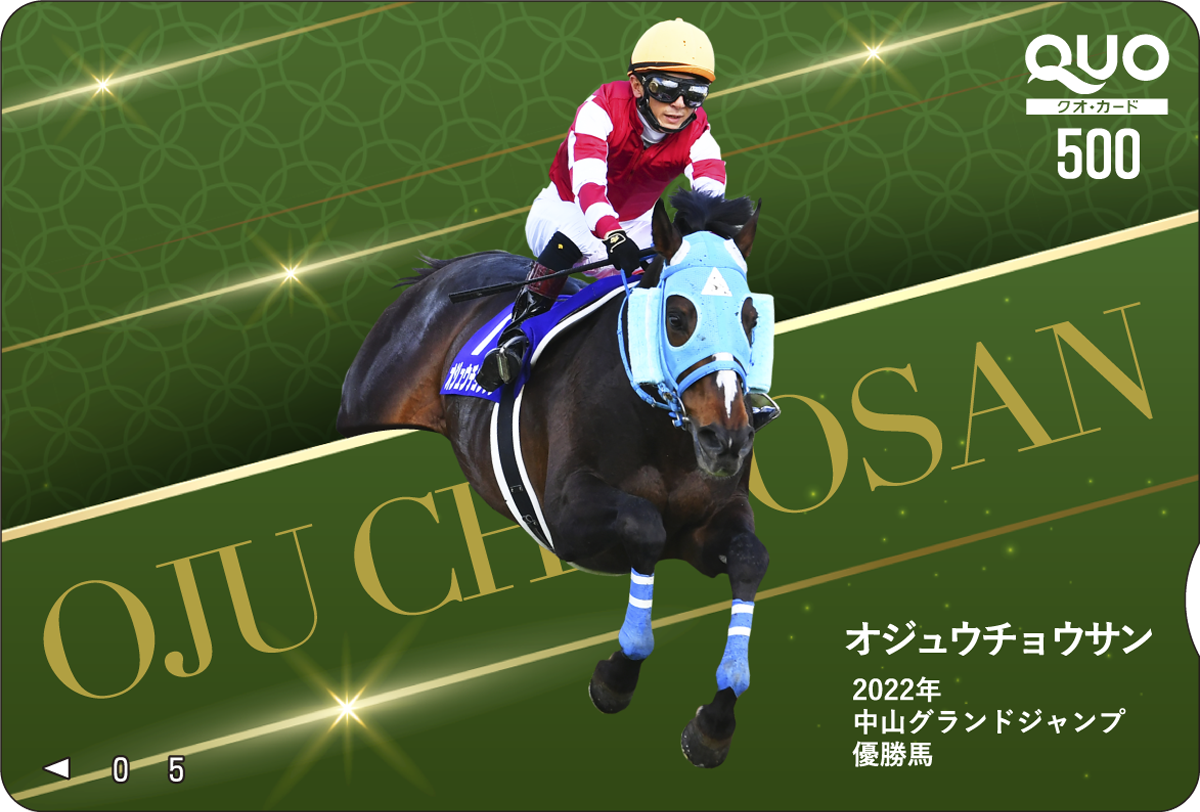 有馬記念キャンペーン 最高のラストスパートへ。| JRA