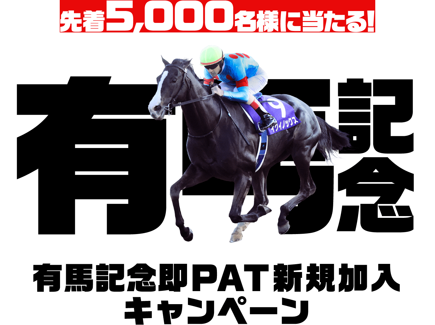 有馬記念 即PAT新規加入キャンペーン | JRA