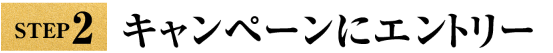 STEP2 キャンペーンにエントリー