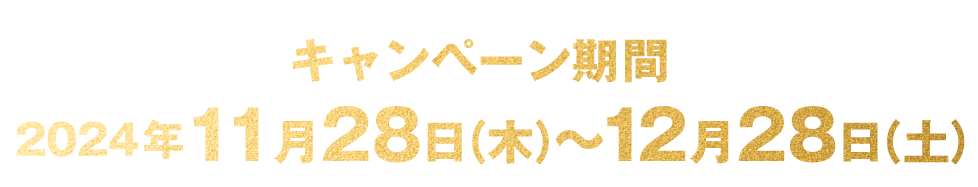 キャンペーン期間 2024年11月28日(木)〜12月28日(土)