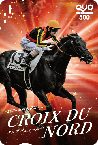 2022年 有馬記念 キャンペーン A賞コンプリートブック JRA 2021年有馬記念キャンペーンA賞QUOカード コンプリートブック 500