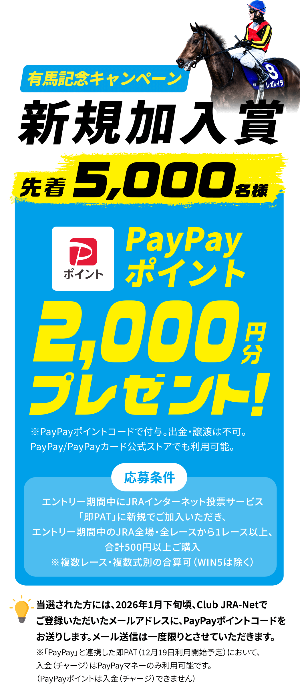 【新規加入賞】先着5,000名様 PayPayポイント2,000円分