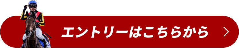 エントリーはこちらから