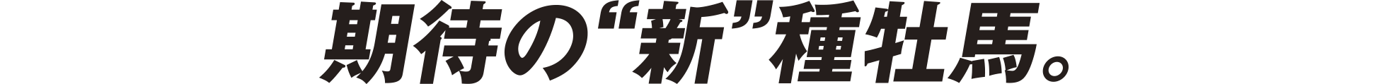 期待の“新”種牡馬。