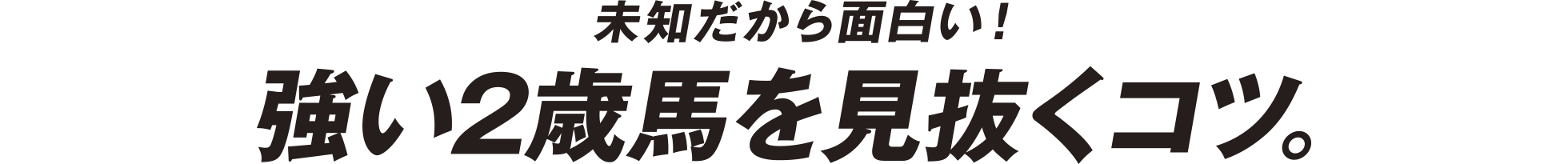 未知だから面白い！強い2歳馬を見抜くコツ。