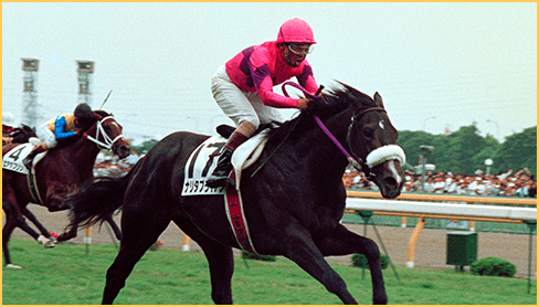 1994年度 優勝馬 ナリタブライアン