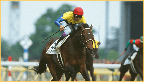 2005年度 優勝馬 ディープインパクト