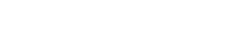 2005年度 優勝馬 ディープインパクト