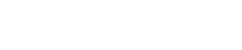 2007年度 優勝馬 ウオッカ
