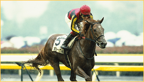 2011年度 優勝馬 オルフェーヴル
