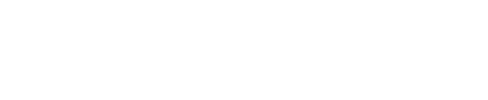 2011年度 優勝馬 オルフェーヴル