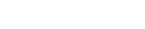 2013年度 優勝馬 キズナ