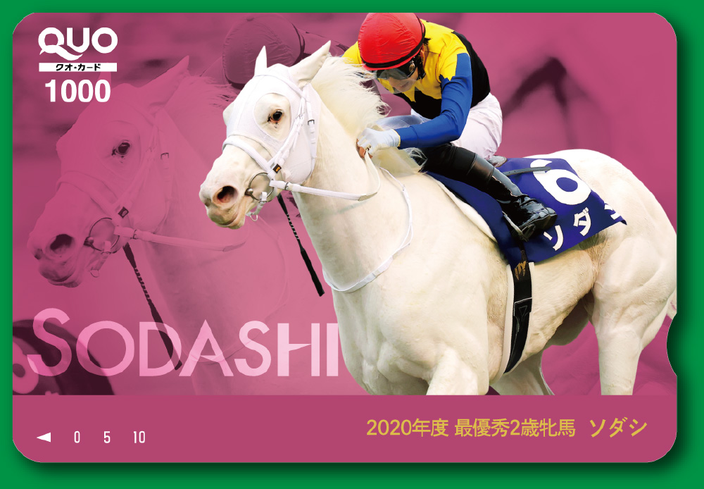 非売品】JRA 夏競馬トリプルチャンス第3弾-