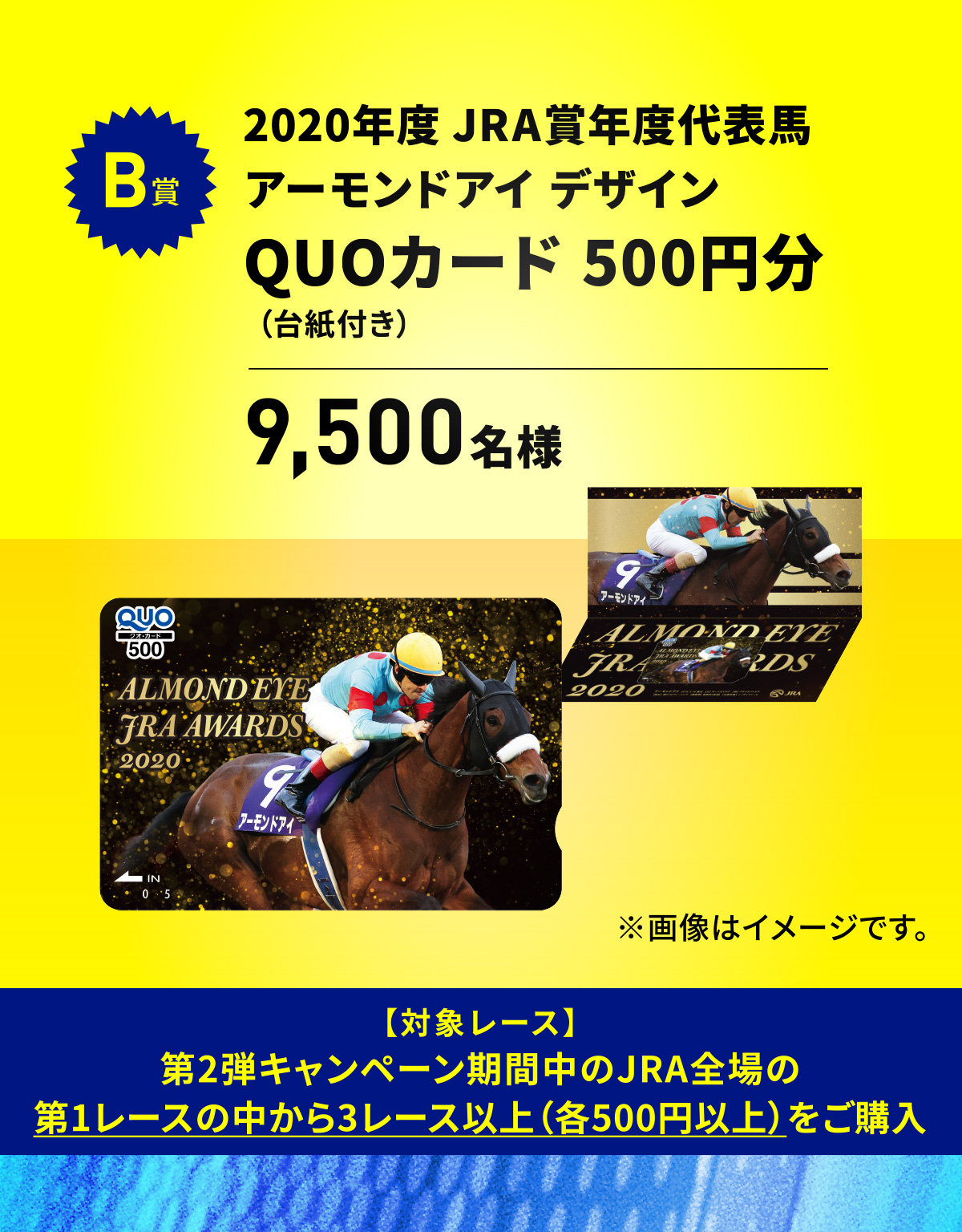 夏競馬トリプルチャンス | JRA